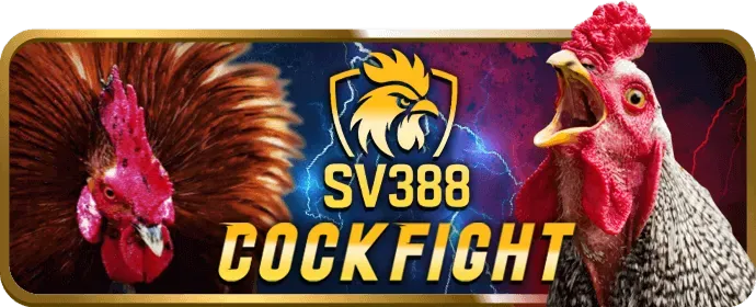 Xổ số và Đá gà tại Sinlebet